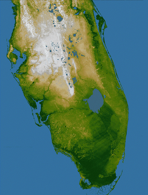 Повышение уровня моря, Флорида, США